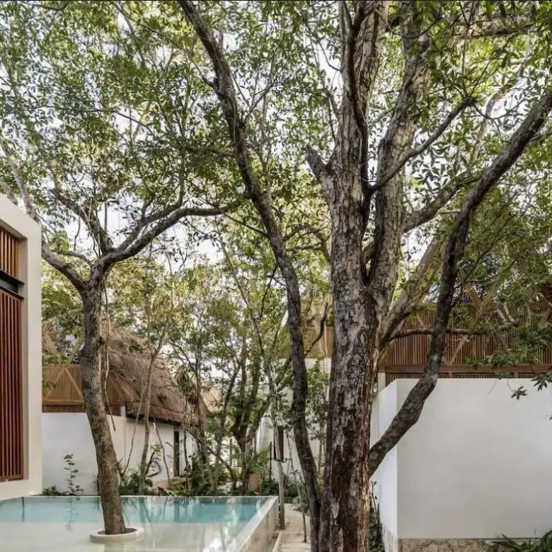 Boutique Hotel for sale in Tulum, La Veleta