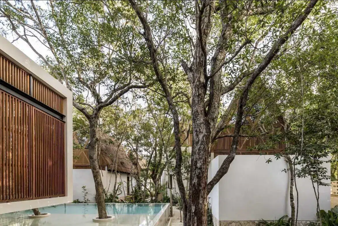 Boutique Hotel for sale in Tulum, La Veleta