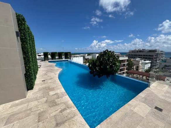 Rooftop infinity pool facing the Caribbean at Menesse, Coco Beach