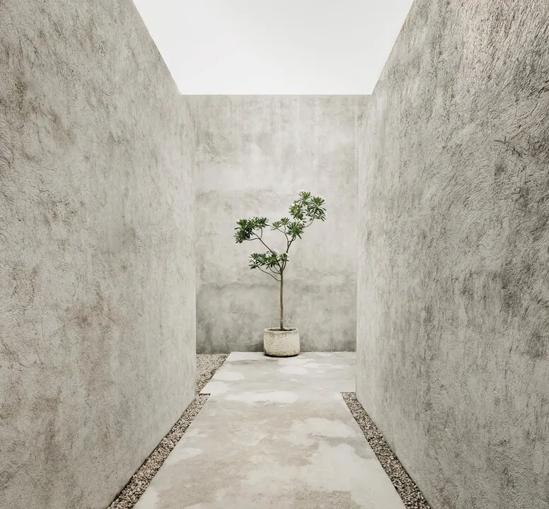 The Artist’s Mansion: An Exceptional Villa by Carlos Larios near Gran Cenote, Tulum