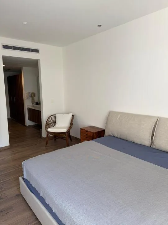 The Leaf 3-Bedroom Lock-Off Corner Condo in Playacar