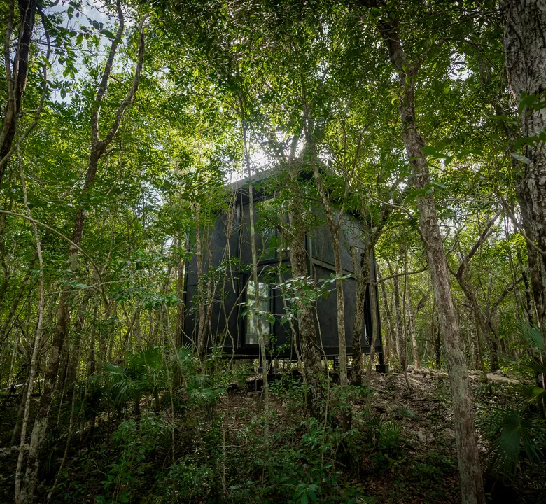 Tree60: Award-Winning Off-Grid Villas in Chemuyil, near Tulum