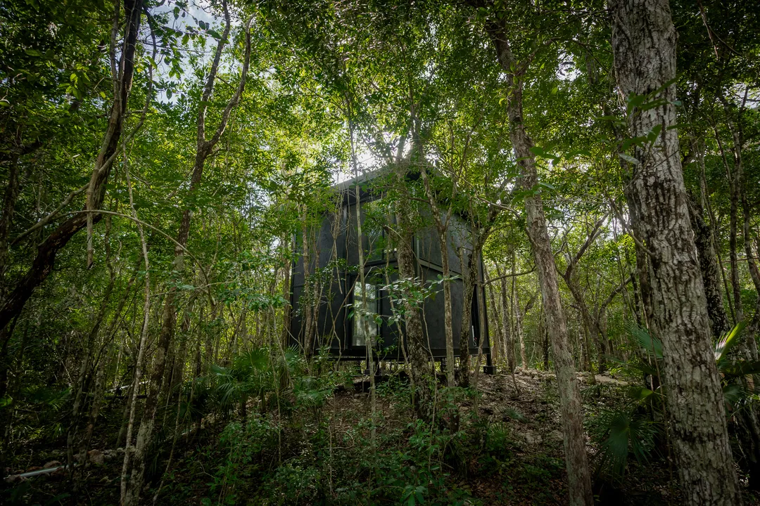 Tree60: Award-Winning Off-Grid Villas in Chemuyil, near Tulum