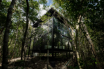 Tree60 off-grid jungle villas for sale in Chemuyil near Tulum