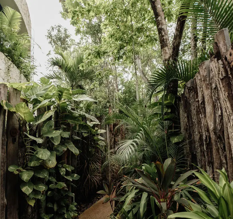 Casa Coco, Region 7, Tulum: 3-Bedroom Villa