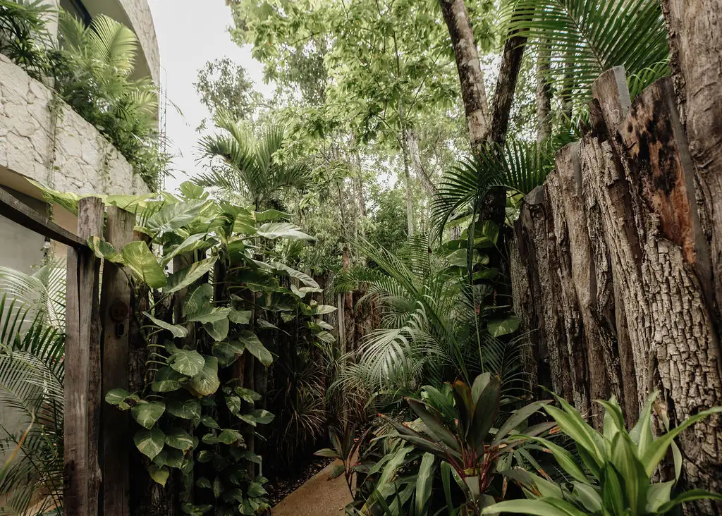 Casa Coco, Region 7, Tulum: 3-Bedroom Villa
